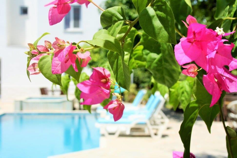 Parla Apart Hotel Çeşme Eksteriør bilde